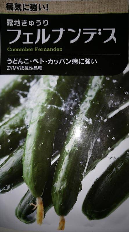 きゅうり様 リクエスト 8点 まとめ商品 精工 エコタグ きゅうり（小） 120×330 4H 袋 青果物 印刷 平袋 | 野菜