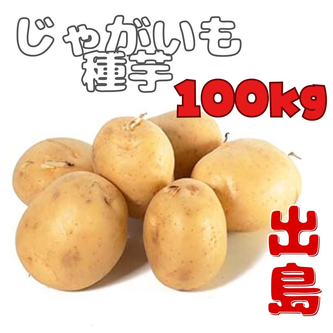 ※8月下旬発送<br>ジャガイモ種芋 【 出島（デジマ）】 サイズ混合 100kg （栽培用 でじま 秋ジャガイモ種芋 秋じゃが芋種芋 馬鈴薯種芋 ばれいしょ種芋 大規模農場向け）【検品合格済品】