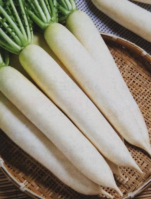 ダイコン種 【 冬神楽 】 2dL （栽培用 種子 大根 だいこん 生産者向け タキイ）