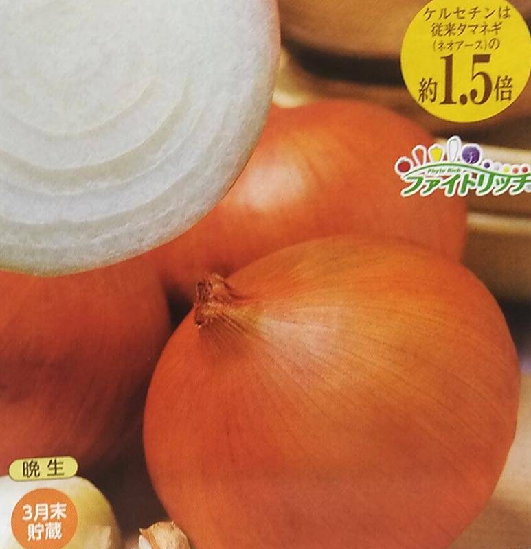 予約商品】玉ねぎ苗 晩性 ケルたま500本束【タキイ交配】【玉ねぎ苗
