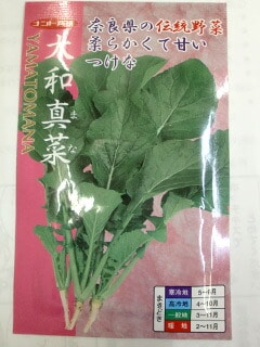 ツケナ種 【 大和真菜 】 小袋 （栽培用 種子 つけな ナント）