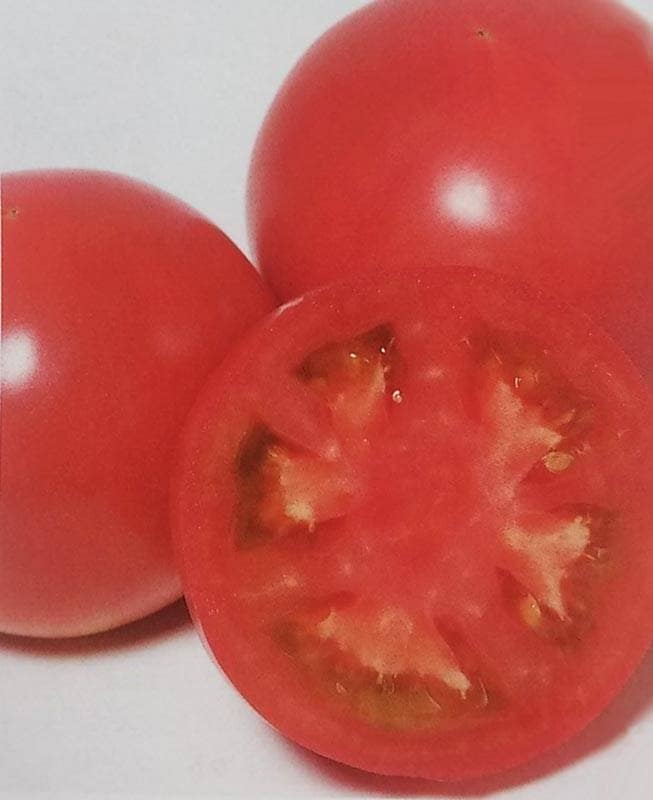 トマト種 【 りんか409 】 PRIMAX種子 1000粒 （栽培用 種子 生産者向け サカタ）