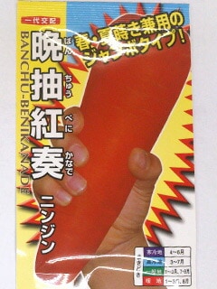 ニンジン種 【 晩抽紅奏 】 小袋 （栽培用 種子 にんじん 人参 ナント）