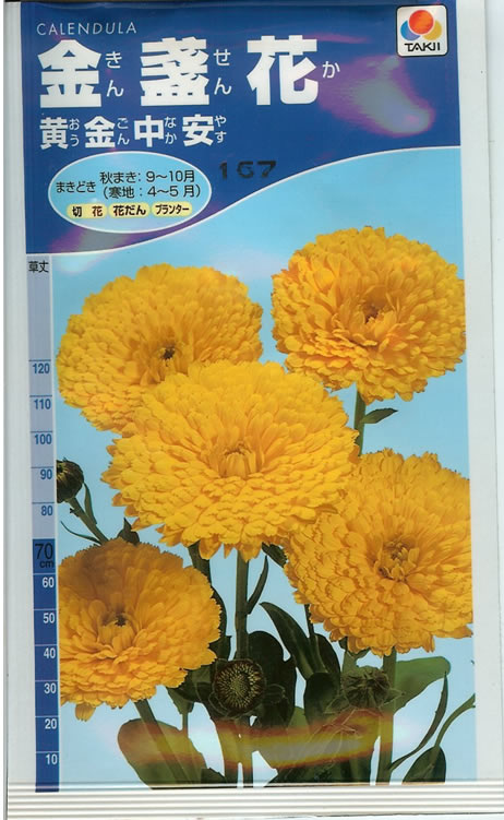 金せん花種 【 切り花用 黄金中安 】 小袋 （栽培用 種子 花種 タキイ）