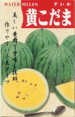 小玉スイカ種 【 黄こだますいか 】 小袋 （栽培用 種子）