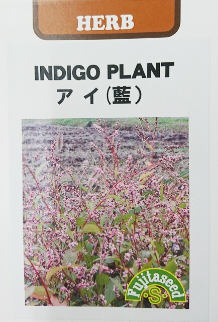 ※発芽率保証期限11月末まで<br>植物種 【 アイ（藍）】 小袋 （栽培用 種子 染料 藤田）