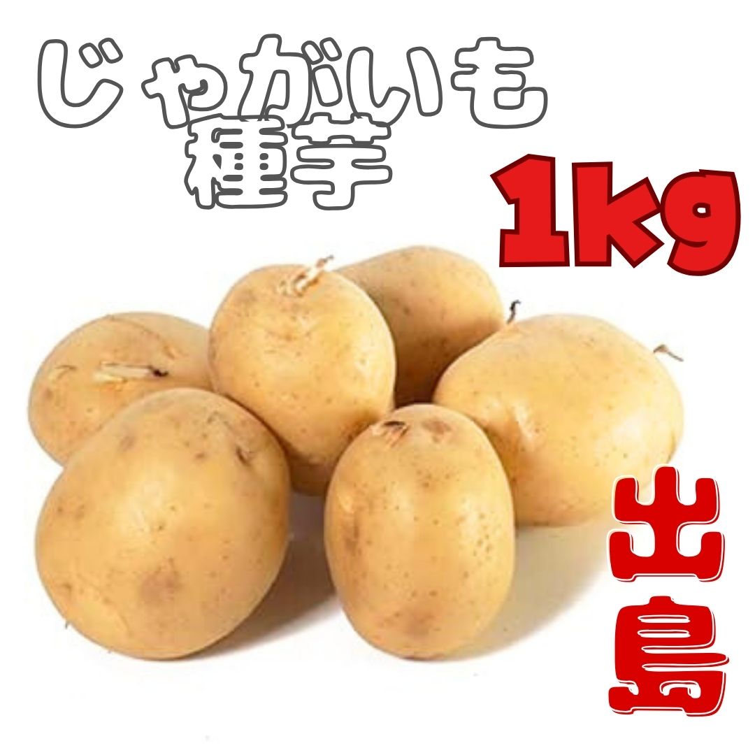 ※7月下旬～8月入荷後発送<br>※2Sサイズ～※ジャガイモ種芋 【 出島 】 サイズ混合1キロ　【検品合格済品】　