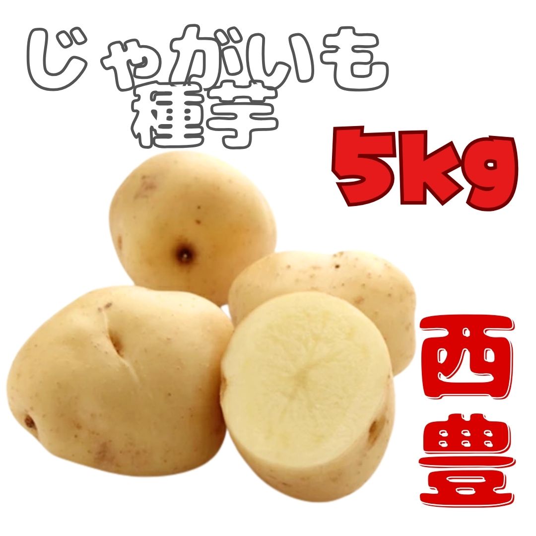 ※7月下旬～8月入荷後発送<br>ジャガイモ種芋 【 西豊（ニシユタカ）】 サイズ混合 5キロ