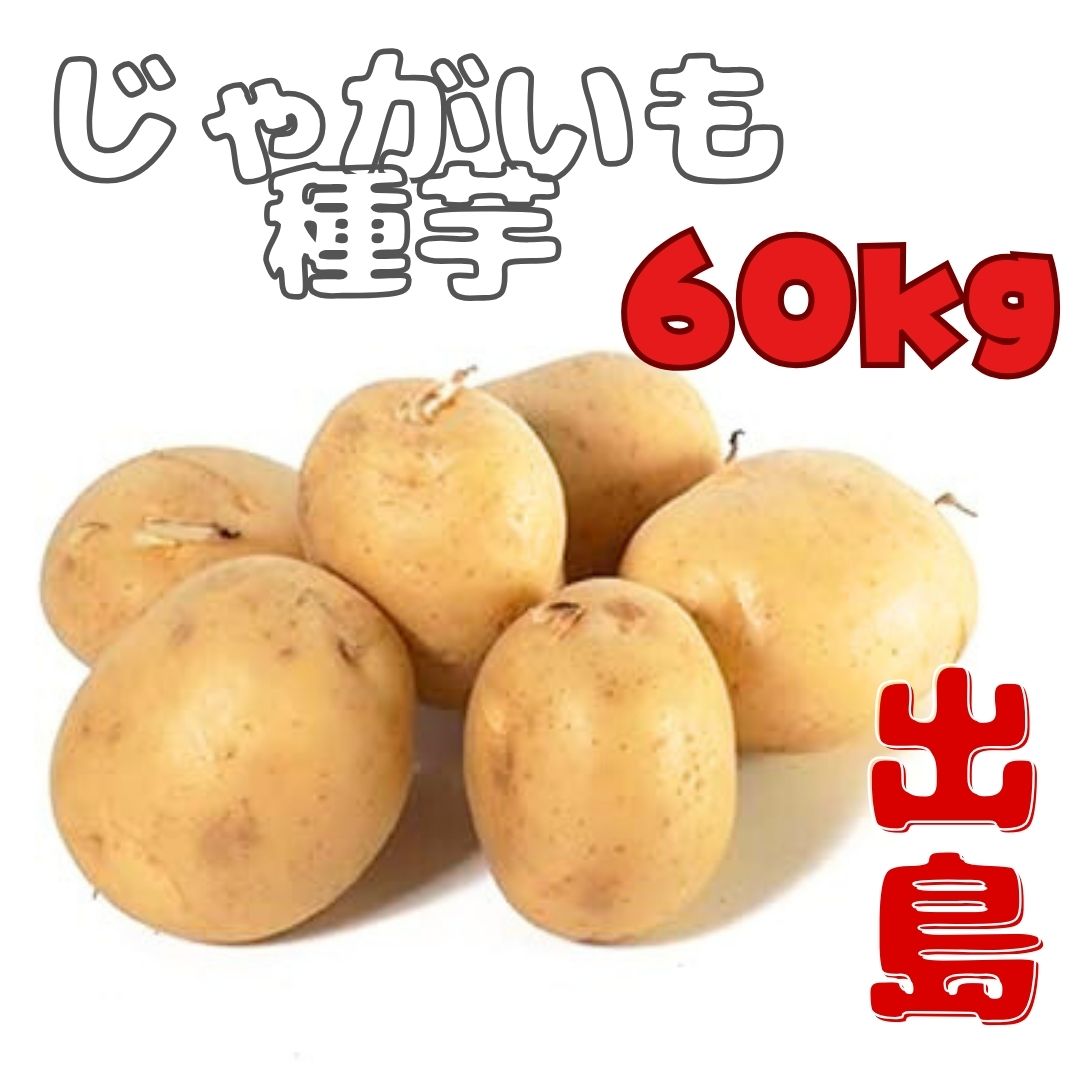 ※7月下旬～8月入荷後発送<br>※2Sサイズ～※ジャガイモ種芋 【 出島 】60キロ　【検品合格済品】