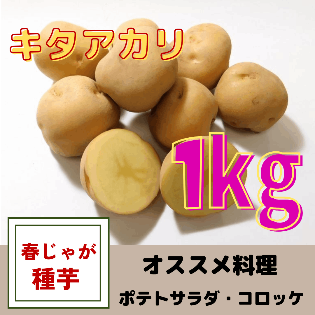 野菜・果物の種,ジャガイモ【種】 | みつのぶ