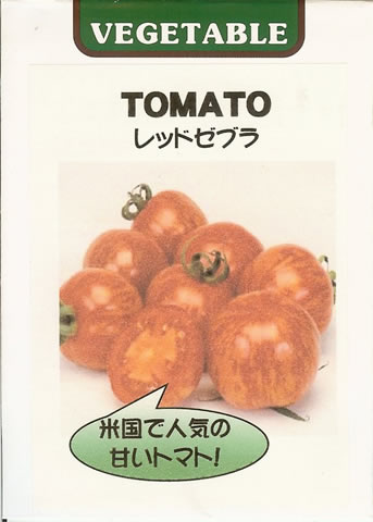 トマト種 【 レッドゼブラトマト 】 小袋 （栽培用 種子 藤田）