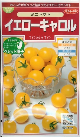 ※新種12月以降入荷予定　ミニトマト種 【 イエローキャロル 】 ペレット種子 実咲小袋 （栽培用 種子 サカタ）