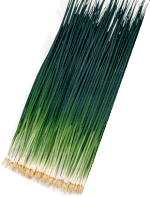 黒宝葱(10ml)～ねぎ・種～