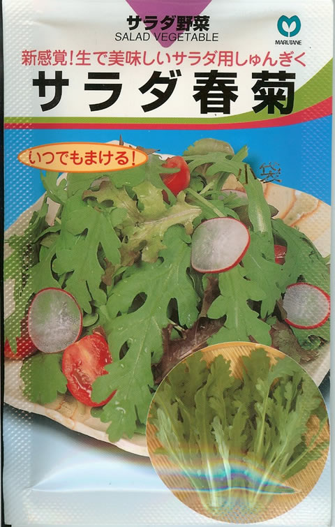 春菊・種　サラダ春菊（小袋）～丸種株式会社～