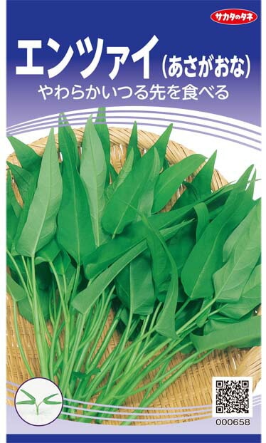 中国野菜種 【 エンツァイ 】 実咲小袋 （栽培用 種子 葉菜 サカタ）