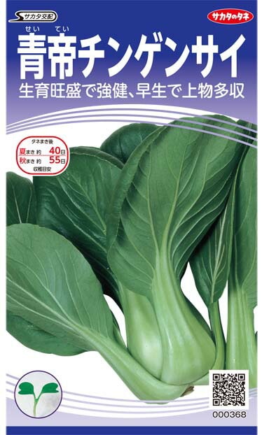 チンゲンサイ種 【 青帝 】 実咲小袋 （栽培用 種子 葉菜 サカタ）