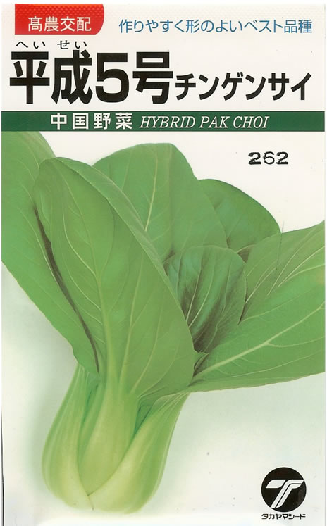 チンゲンサイ種 【 平成5号 】 小袋 （栽培用 種子 ちんげんさい タカヤマ）