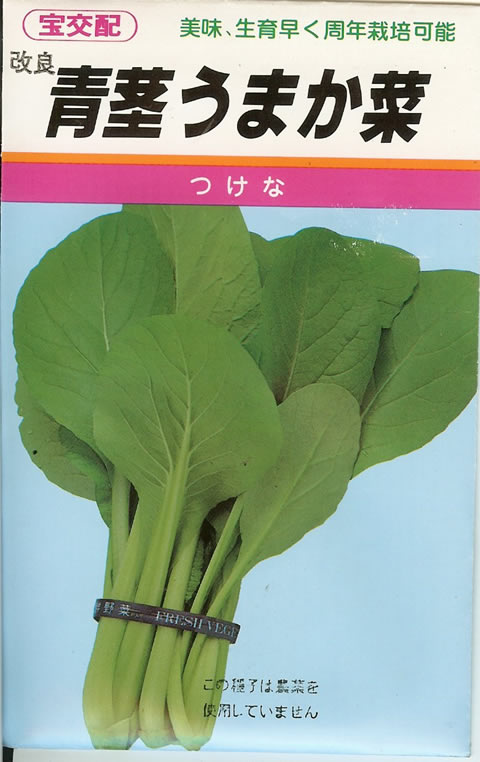 フダンソウ種 【 改良青茎うまか菜 】 小袋 （栽培用 種子 ふだん草 宝）