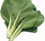 改良青茎うまか菜(5ml)～うまか菜・種～