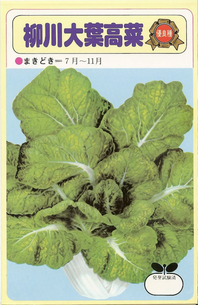 柳川大葉高菜 （8ml）