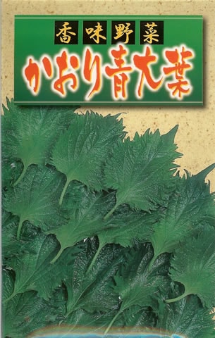 ★シソ種 【 かおり青大葉 】 8ml （栽培用 種子 しそ 紫蘇 大葉 アサヒ）