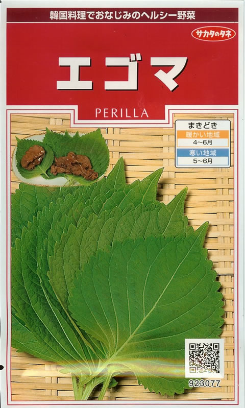 ヘルシー野菜種　エゴマ（5ml）