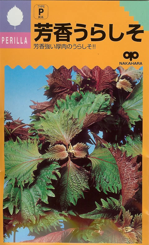 しそ種（大葉）　芳香うらしそ（5ml）
