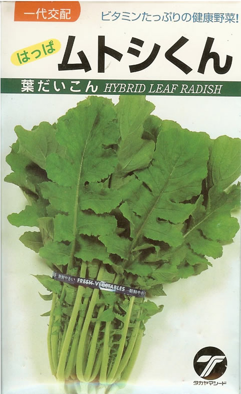 葉ダイコン種 【 はっぱムトシくん 】 小袋 （栽培用 種子 大根 だいこん タカヤマ）