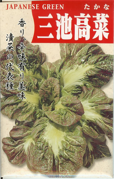 タカナ種 【 三池高菜 】 小袋 （栽培用 種子 たかな トーホク）