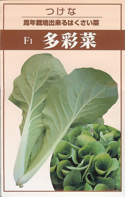 ツケナ種 【 多彩菜 】 小袋 （栽培用 種子 漬菜 宝）