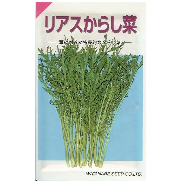 からし菜　種　リアスからし菜(7ml)