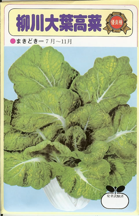 タカナ種 【 柳川大葉高菜 】 小袋 （栽培用 種子 たかな）
