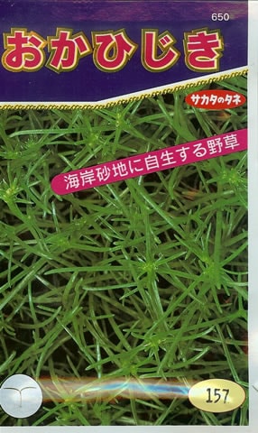 野草のタネ おかひじき(10ｍｌ)