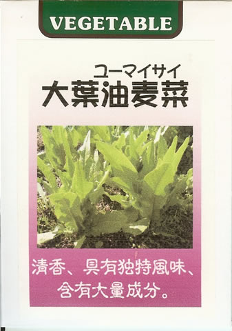 中国野菜種 【 大葉油麦菜（ユーマイサイ）】 小袋 （栽培用 種子 藤田）