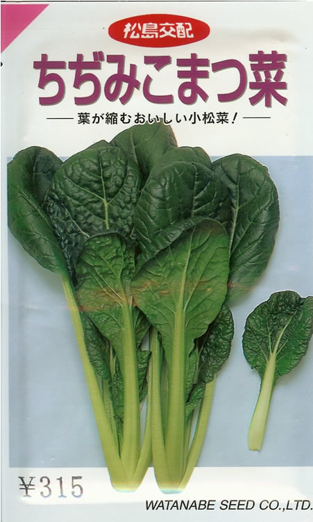 ★コマツナ種 【 ちぢみ小松菜 】 小袋 （栽培用 種子 こまつな 小松菜 渡辺）