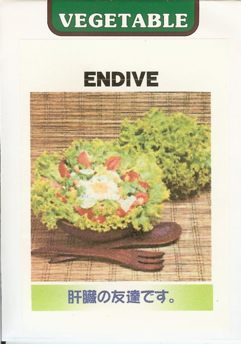 世界の野菜種　エンダイブ（2ml）