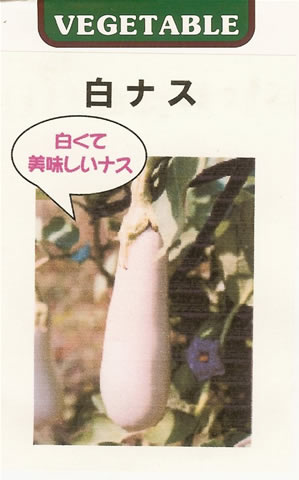 ナス種 【 白ナス 】 小袋 （栽培用 種子 なす 茄子 藤田）