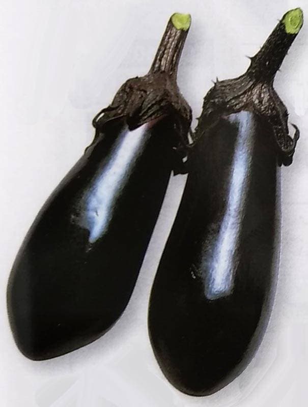 ナス種 【 千両 】 2000粒 （栽培用 種子 なす 茄子 生産者向け タキイ）