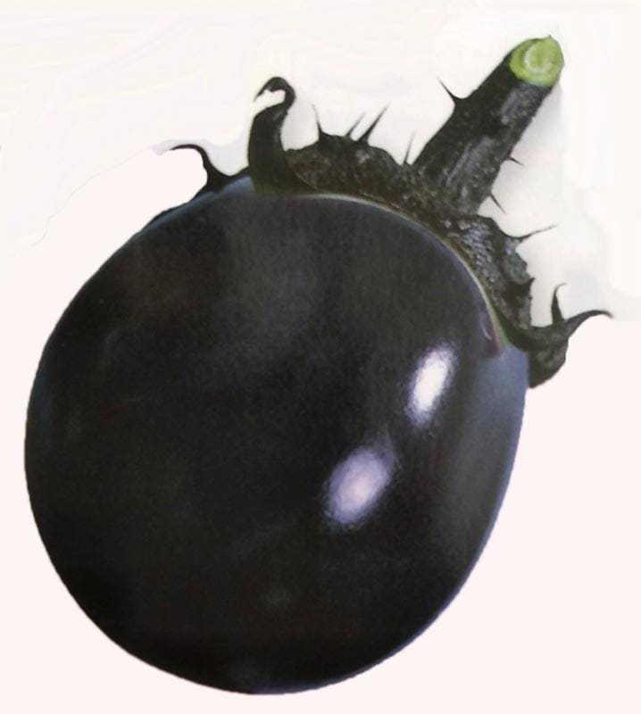 落ちてる茄子 楽天市場】【ふるさと納税】 ナス 茄子 千両茄子 野菜 5kg 2L