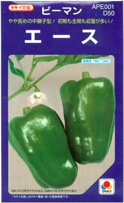 ピーマン種 【 エース 】 DF小袋 （栽培用 種子 ぴーまん タキイ）