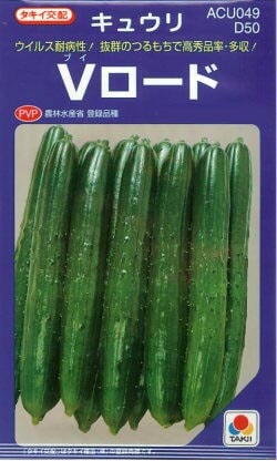 キュウリ種　Vロード　(10粒)<br>[栽培用 種子 きゅうり 胡瓜][品種名：Vロード]