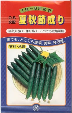 キュウリ種 【 夏秋節成り 】 小袋 （栽培用 種子 きゅうり 胡瓜 シード）