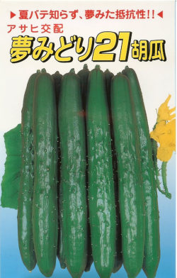 キュウリ種 【 夢みどり21 】 小袋 （栽培用 種子 きゅうり 胡瓜 アサヒ）