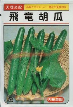 キュウリ種 【 飛竜 】 1ml （栽培用 種子 きゅうり 胡瓜 大和）