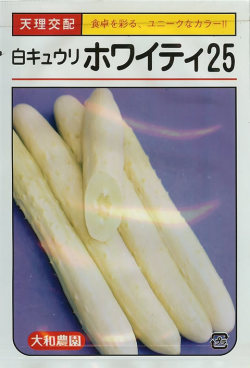 ※発芽率保証期限11月末まで　白キュウリ種 【 ホワイティ25 】 10粒 （栽培用 種子 きゅうり 胡瓜 大和）
