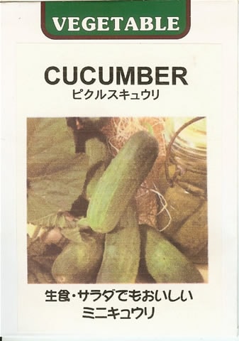 ★キュウリ種 【 ピクルスキュウリ 】 小袋 （栽培用 種子 藤田）