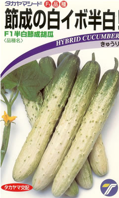 ※発芽率保証期限10月末まで<br>キュウリ種 【 半白節成胡瓜 】 小袋 （栽培用 種子 きゅうり タカヤマ）