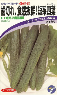 きゅうり種　短系四葉胡瓜