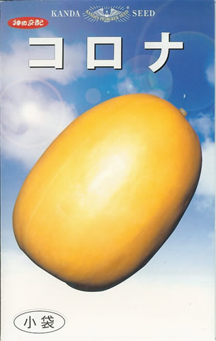 メロン種 【 コロナ 】 小袋 （栽培用 種子 メロン 黄まくわ 神田）