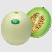 ※ 販売終了？※ メロン種 【 アリス 】 100粒 （栽培用 種子 めろん 瓜 ウリ タキイ）